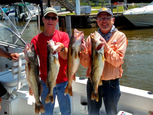 Walleye Catch